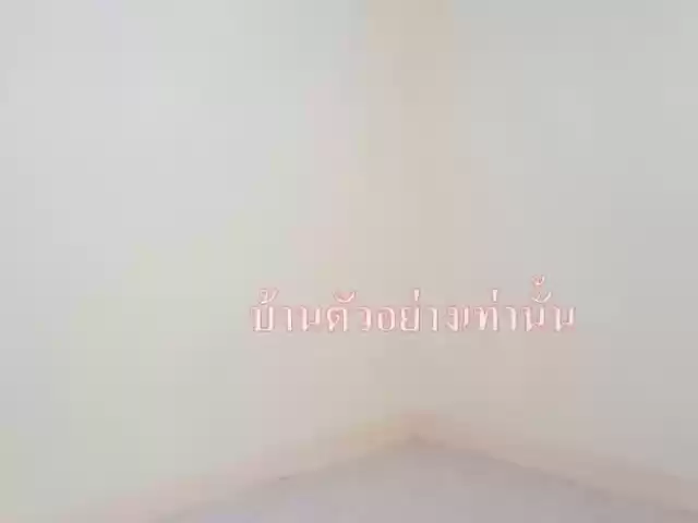 ทาวน์เฮ้าส์ชั้นเดียว หมู่บ้านแวนด้า ต มาบข่า อ นิคมพัฒนา จ ระยอง