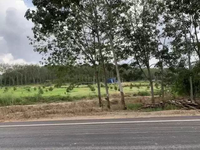 ที่ดิน 17ไร่ 2งาน 12 2ตรว ติดถนน แถมบ้าน1หลัง ทำเลดี เหมาะทำรีสอร์ท ร้านกาแฟ แคมป์ปิ้ง